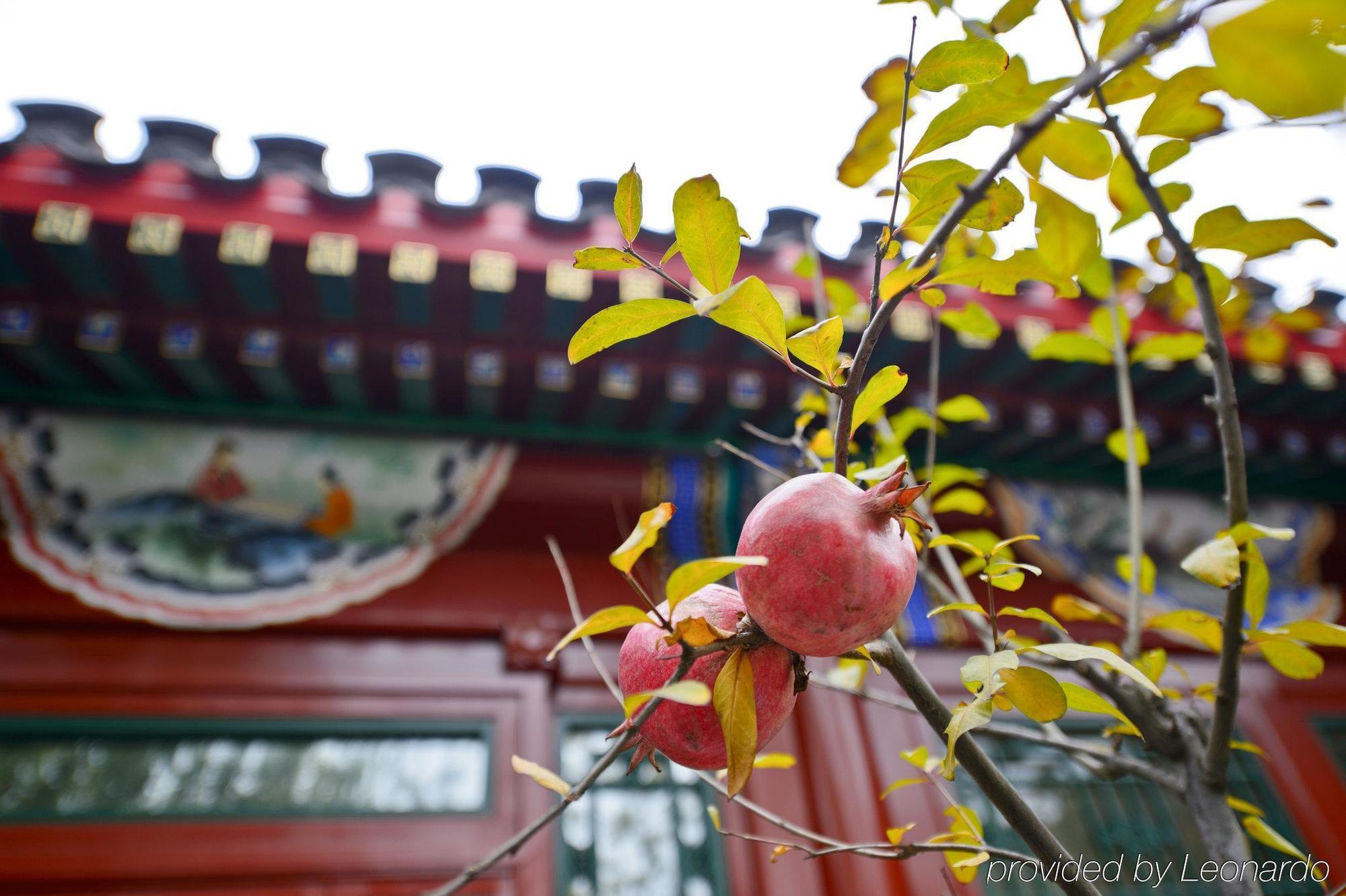 Duge Boutique Hotel 北京 エクステリア 写真